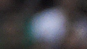 Chicharito está disfrutando de su soltería