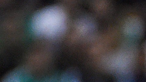 Chicharito está disfrutando de su soltería