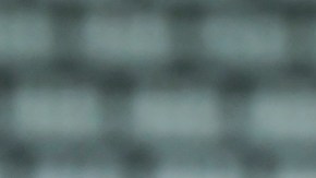 Juan Carlos Osorio y Javier "Chicharito" Hernández