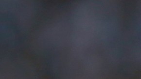 Alan Pulido consiguió uno de los goles en el triunfo 2-1 de Chivas sobre Monterrey.