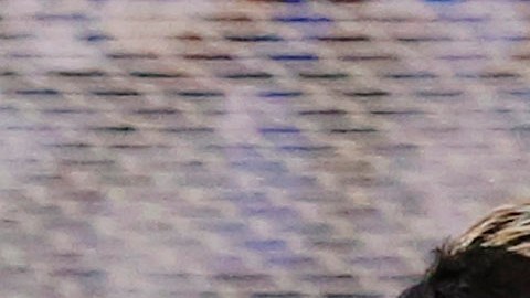 Cruz Azul le dijo adiós a la Liguilla