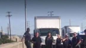 La leona marina en el puente Lincoln antes de ser alentada a una jaula