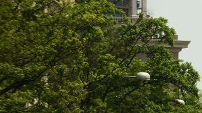 Miles protestan por las políticas ambientales del presidente Trump.