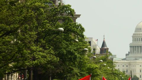 Miles protestan por las políticas ambientales del presidente Trump.