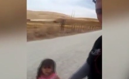 navarro