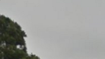 La escuela primaria Torrance fue evacuada como medida "preventiva".