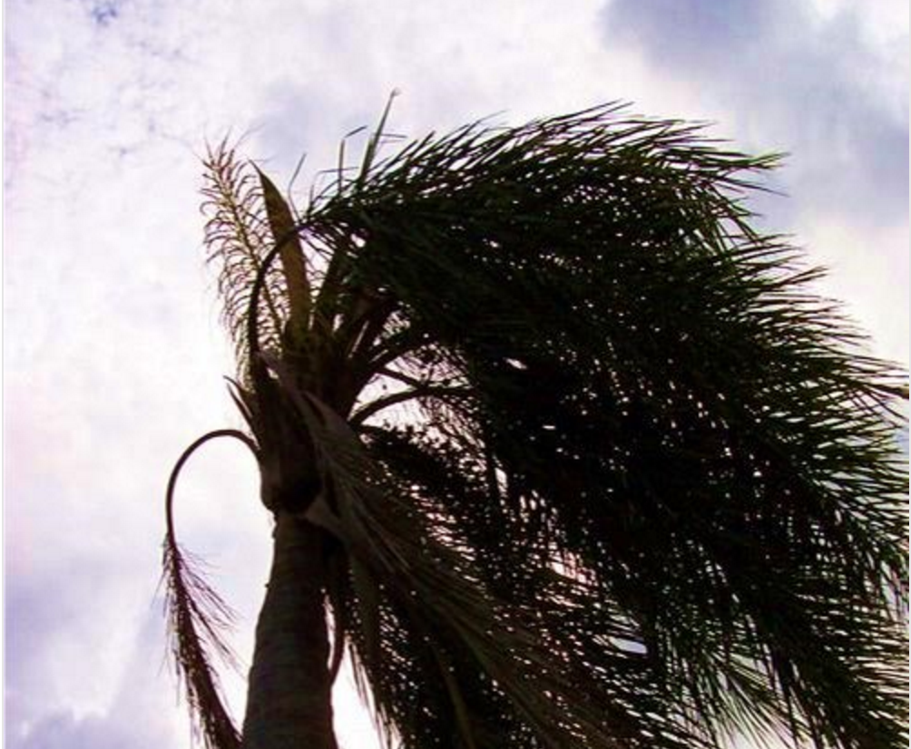 Varias residencias se han visto afectadas por los vientos severos.