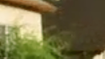 Richard Rodríguez enfrenta cargos de delito grave por conspirar a defraudar.