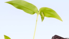 La basura electrónica o e-waste debe descartarse en centros especiales porque contamina el medio ambiente.