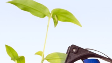 La basura electrónica o e-waste debe descartarse en centros especiales porque contamina el medio ambiente.