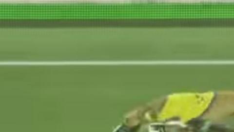 Xolos Tijuana Club América