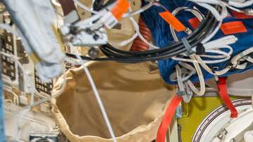 La astronauta de la NASA, Peggy Whitson, ampliará su misión con tres meses adicionales