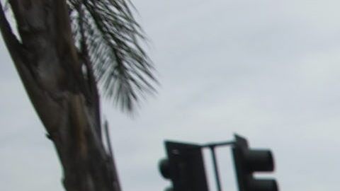 CARAVANA PARA PEDIR AL GOBERNADOR DE CALIFORNIA QUE APRUEBE ACTA DE CONFIANZA