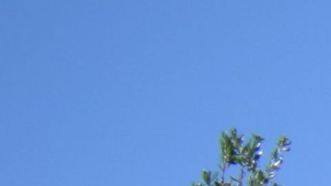 La comunidad indocumentada espera que los tribunales frenen la ley SB-4