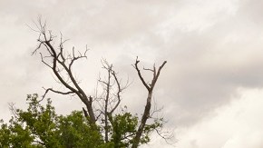 Un castillo italiano puede ser un buen negocio.