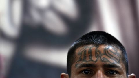 Expertos indican que muchas veces las autoridades se dejan llevar por estereotipos ya que la MS-13 suele utilizar tatuajes.