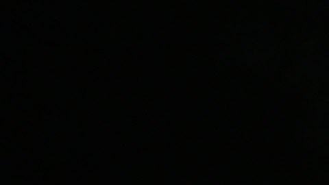 La pelea entre Canelo y Chávez Jr. reporta muy buenos números.