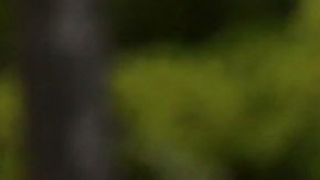 Manifestantes durante la protesta del 1 de Mayo