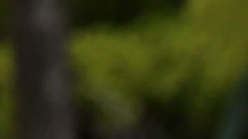 Manifestantes durante la protesta del 1 de Mayo