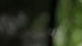 El próximo domingo 6 de agosto se estrena por el canal Fusion TV, propiedad de Univision.