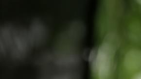 El próximo domingo 6 de agosto se estrena por el canal Fusion TV, propiedad de Univision.