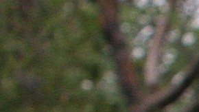 Una empleada de LAX recoge carritos en la Terminal Internacional.