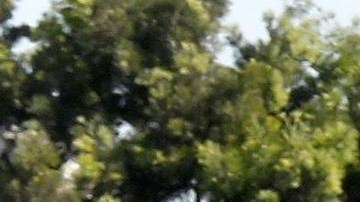 La expansión de la Línea Púrpura está en limbo.