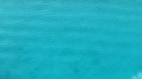 La isla privada en la que iba a tener lugar el evento, resultó ser un lote de tierra sin construir