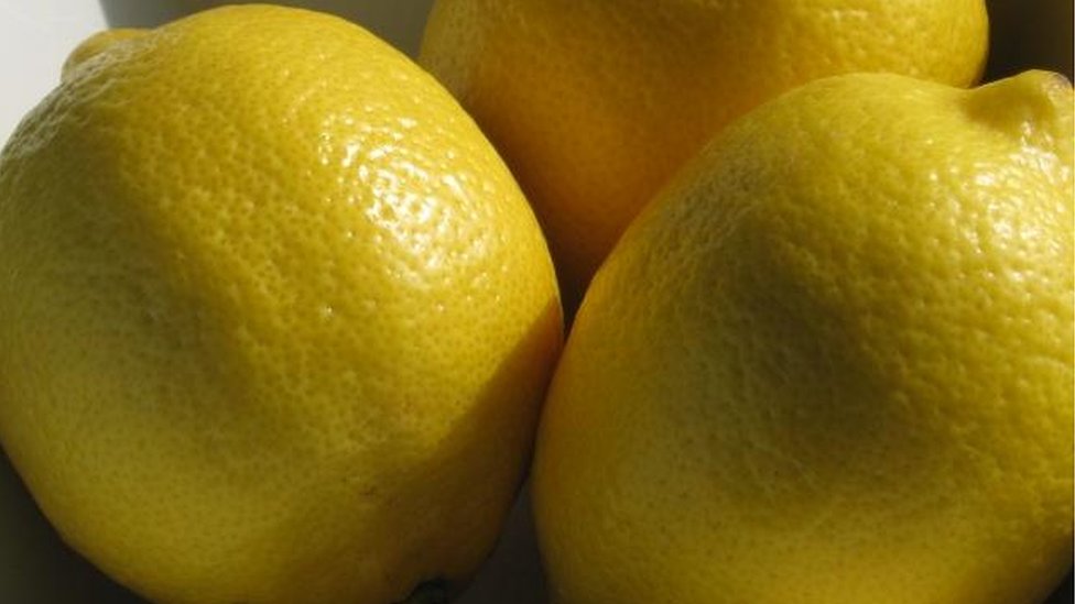 Argentina volverá a venderle limones a EEUU tras 16 años de veto