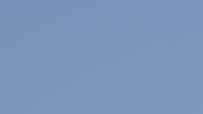 96083425_gettyimages-684257606