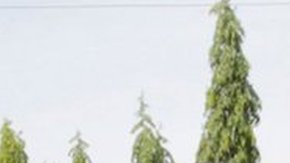 Tras tres años de separación las familias lograron reencontrarse.