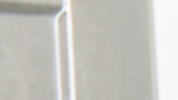 Hay que revisar con frecuencia las fechas de caducidad de los alimentos que se tienen en la nevera y consumirlos antes de que se venzan.