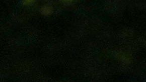 Explosion en el concierto de Ariana Grande