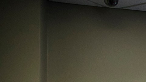 Las terminales son fáciles de usar. (Suministrada por el DMV)