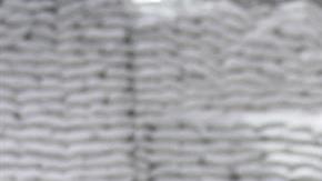 Jornaleros mexicanos