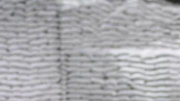 Jornaleros mexicanos