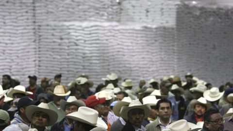 Jornaleros mexicanos