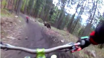 Ciclista y oso
