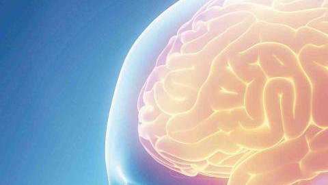 cerebro