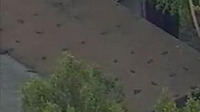 Christine Ramos fue encontrada muerta de un tiro en la frente en su coche.