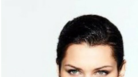 Bella Hadid y Leonardo DiCaprio