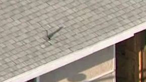 Se dio un cateo en una residencia en La Mirada.