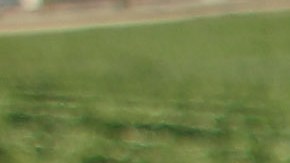 Una granja de hongos en Pennsylvania sufrió la primera redada de ICE en era Trump.