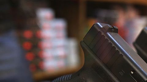 Inmigrantes indocumentados no pueden poseer armas de fuego. (Archivo)