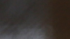 fiebre repentina, vómito,  debilidad y dolor muscular son sus síntomas