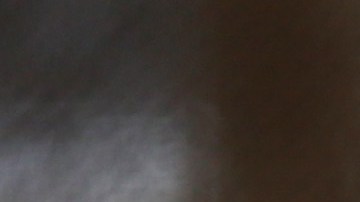 fiebre repentina, vómito,  debilidad y dolor muscular son sus síntomas