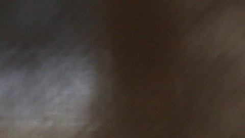 fiebre repentina, vómito,  debilidad y dolor muscular son sus síntomas
