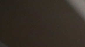 Habrá multas y cárcel a los funcionarios locales, incluidos policías, que no cumplan con ley