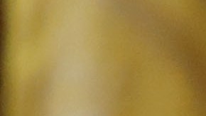 Michelle Obama trabajó durante 8 años para reducir la obesidad infantil en EEUU