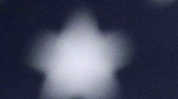 El presidente Trump prometió que nadie perdería su seguro con su reforma